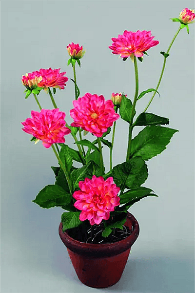 Kunstige Dahlia,