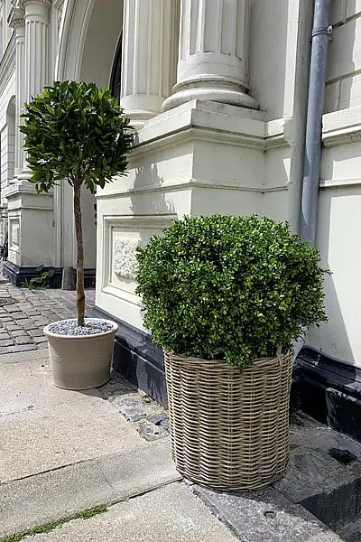 Kunstige udendørs planter,