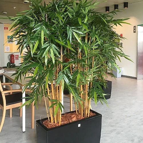 Kunstige bambus planter i sort kumme,