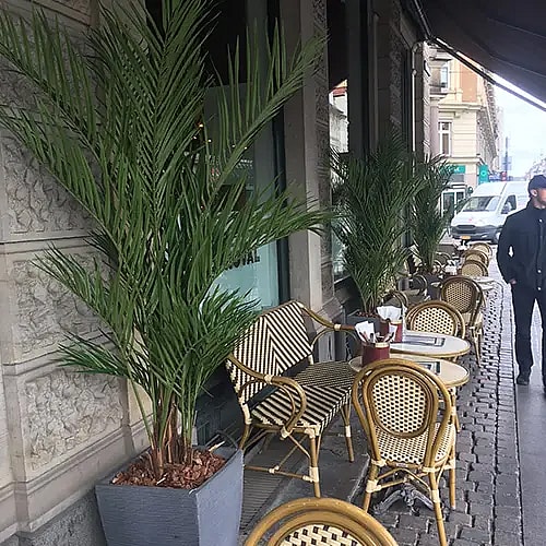 Kunstige planter til udendørs,