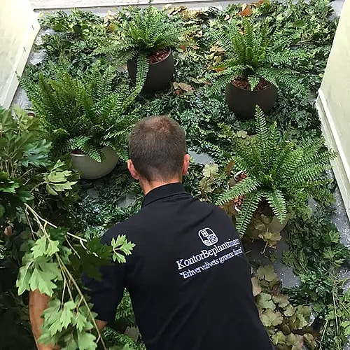 Opsætning af kunstige planter,